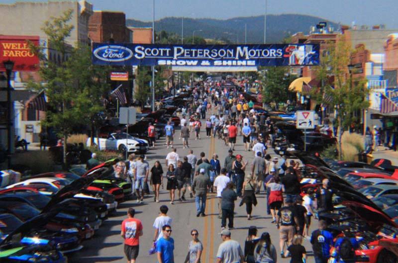 Large SHot of mustangs in a line