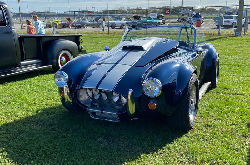 Cobra with silver stripes and hood open