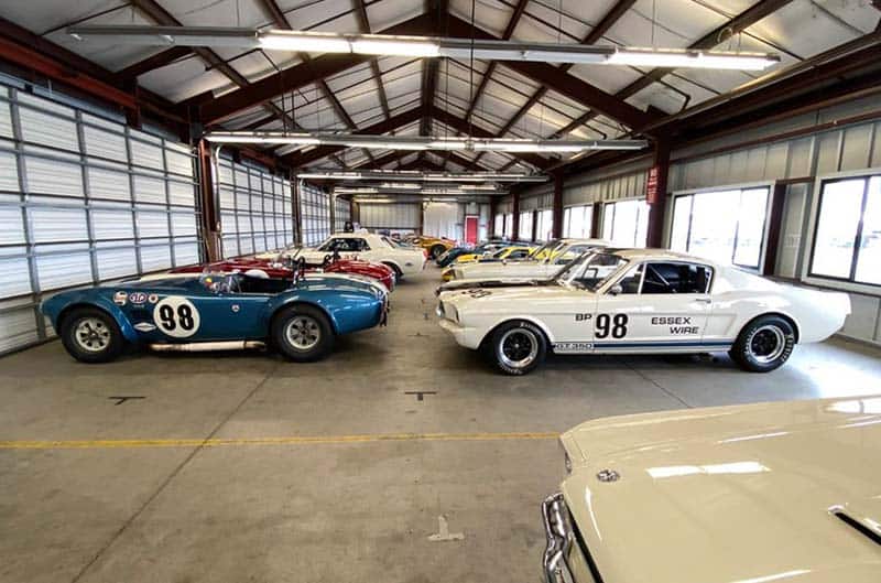 Cobra and Shelby in Garage