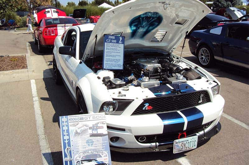 S197 Shelby White