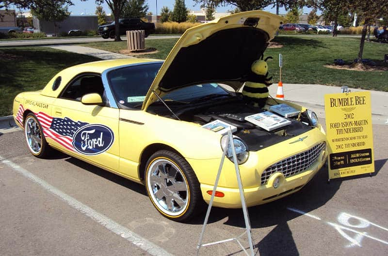 Yellow Thunderbird