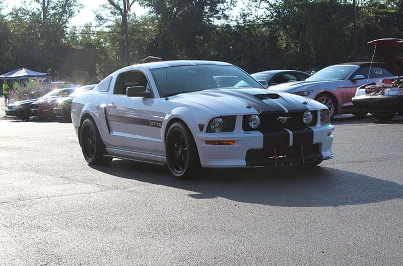 White and black S197 Mustang