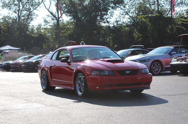 Red Newedge Mustang