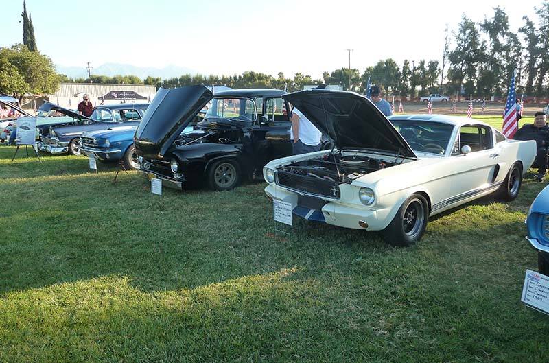 Ford Mustangs at show