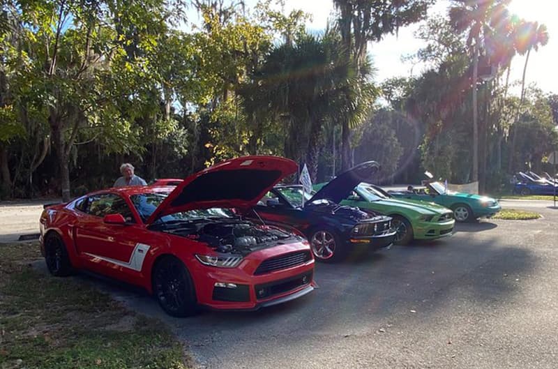 Several mustangs with hoods up at show