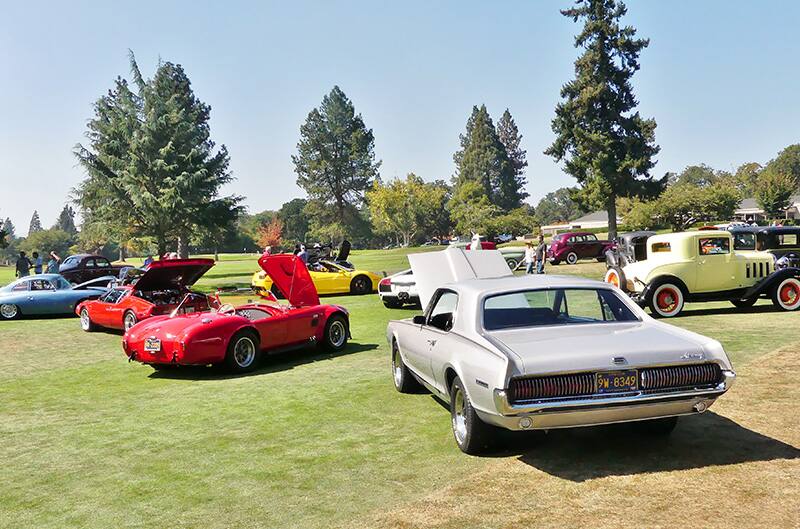 Pantera and cougar GT