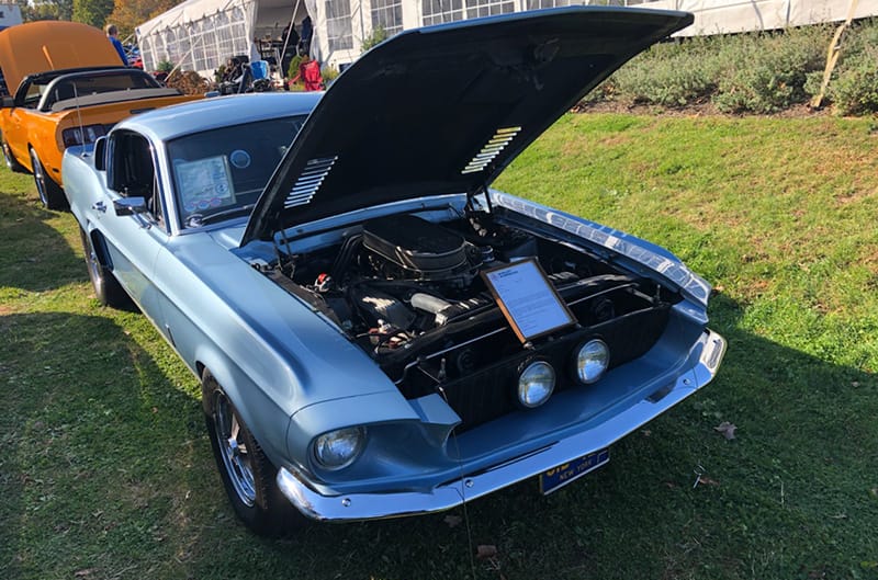 Light Blue shelby mustang