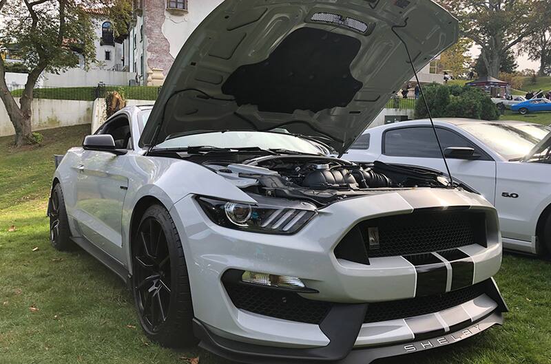 Avalanche Gray Shelby GT350 Mustang