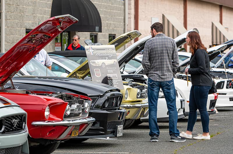 Couple standing in front of vintage mustangs