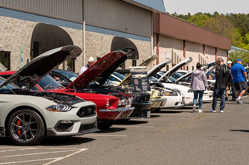 Mustangs lined up at Museum