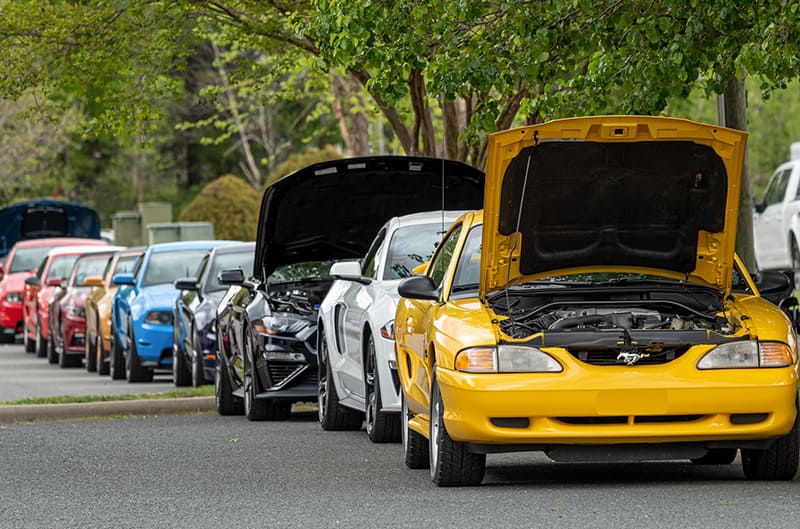 Mustangs lined up on street, front most mustang with hood open