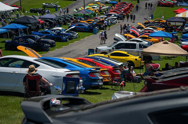Overview of S550 Mustangs lined up on the hill