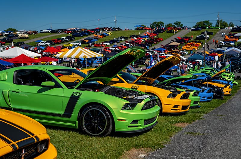 Boss 302 S197 parking section