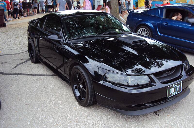 Black newedge mustang