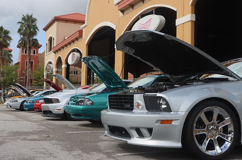 Several mustangs parked with hoods open