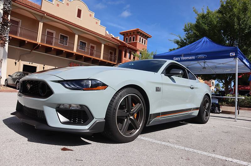 Fighter Jet Gray Mustang Mach 1