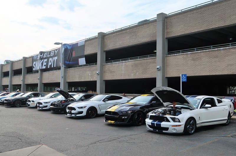 Snake pit at Mustang Alley