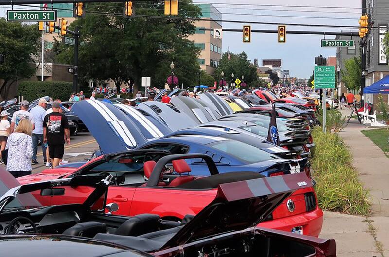 Many mustangs on display