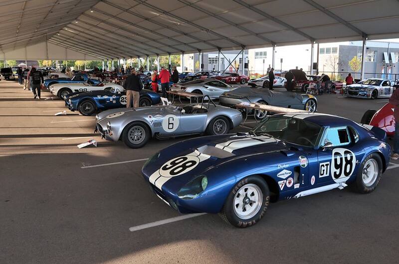 Shelby paddock area