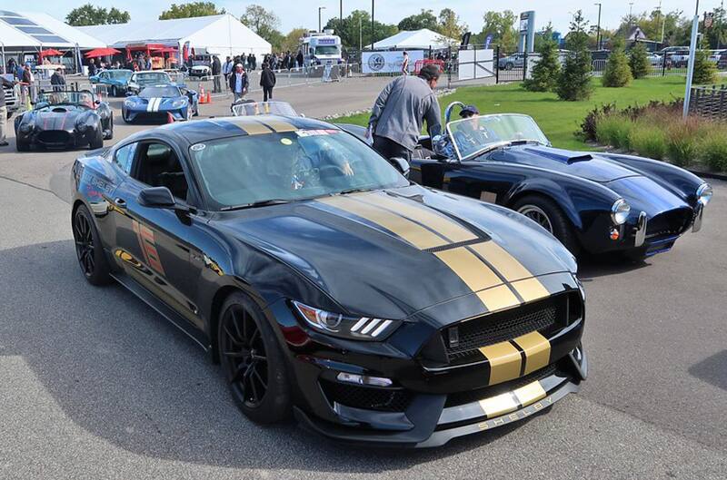 Shelby Mustangs and cobras