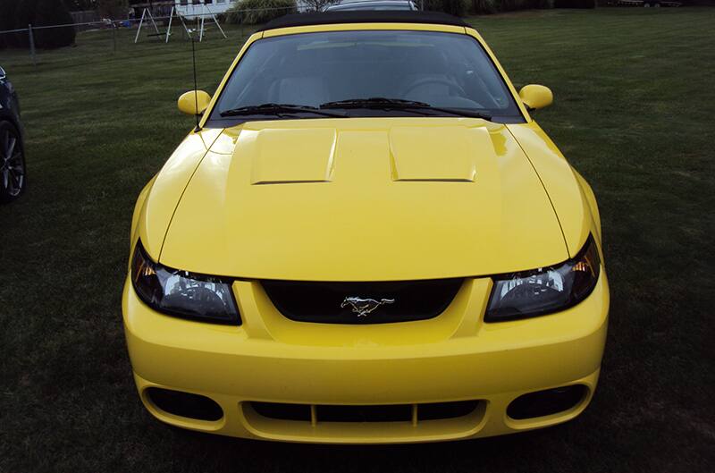 Yellow terminator cobra front end