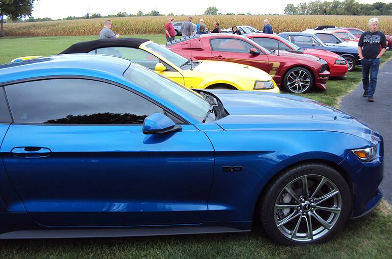 Mustangs lined up at Halderman Barn