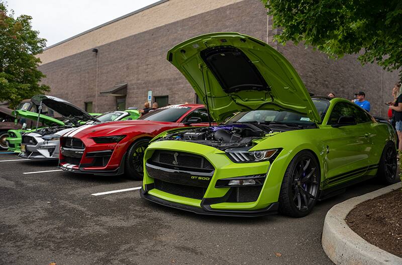 Mustangs with hoods open at meet