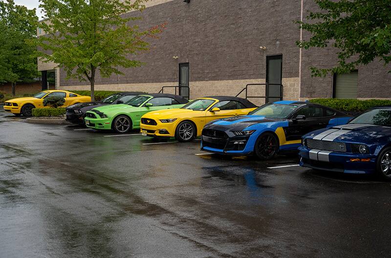 Wet parking lot full of Mustangs for show