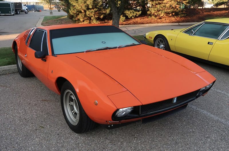 Orange pantera from front