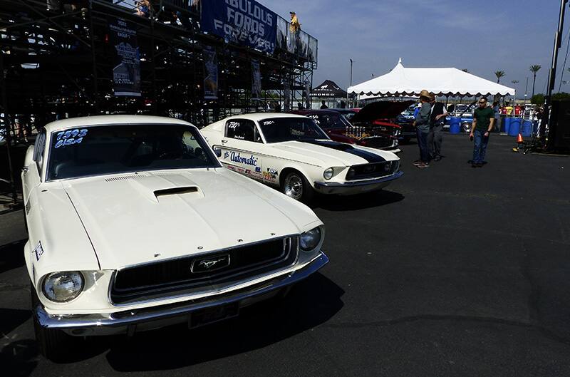 White first gen mustangs parked