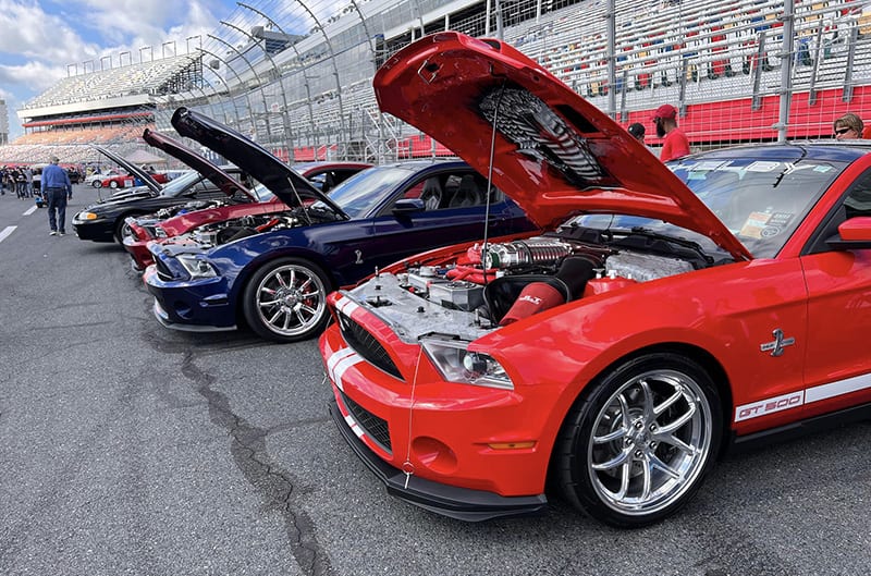 Mustangs parked on track for show
