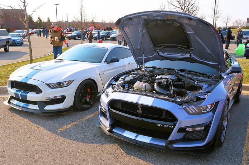 GT500 mustangs at show