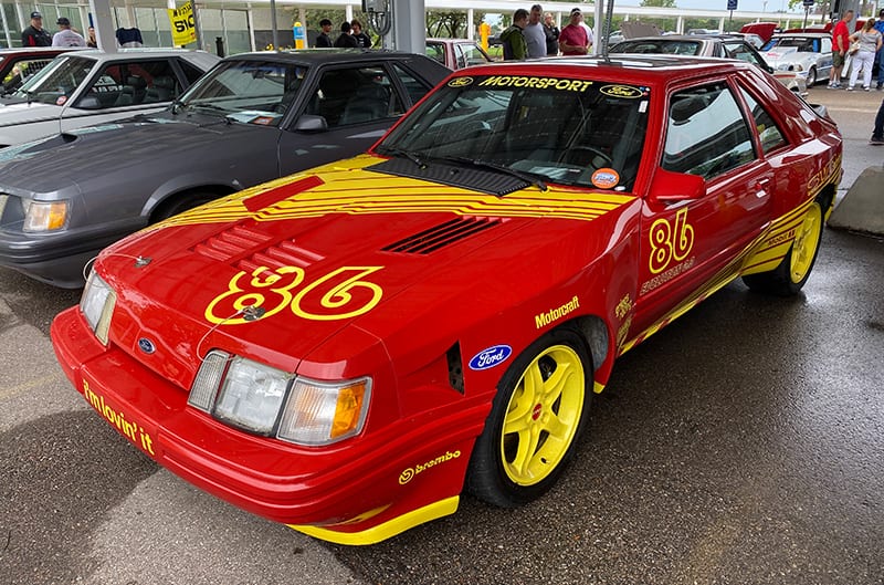 Red and yellow foxbody