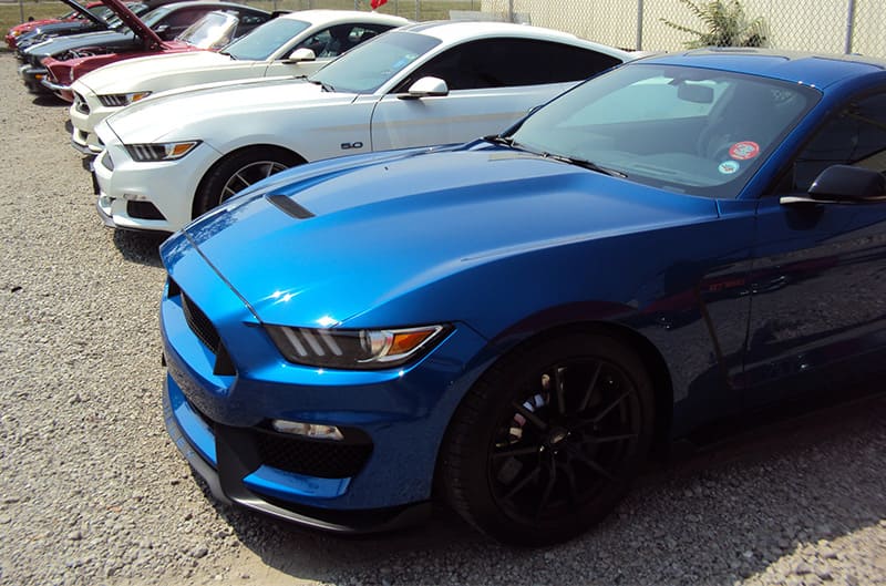 Mustangs in parking lot at Motown