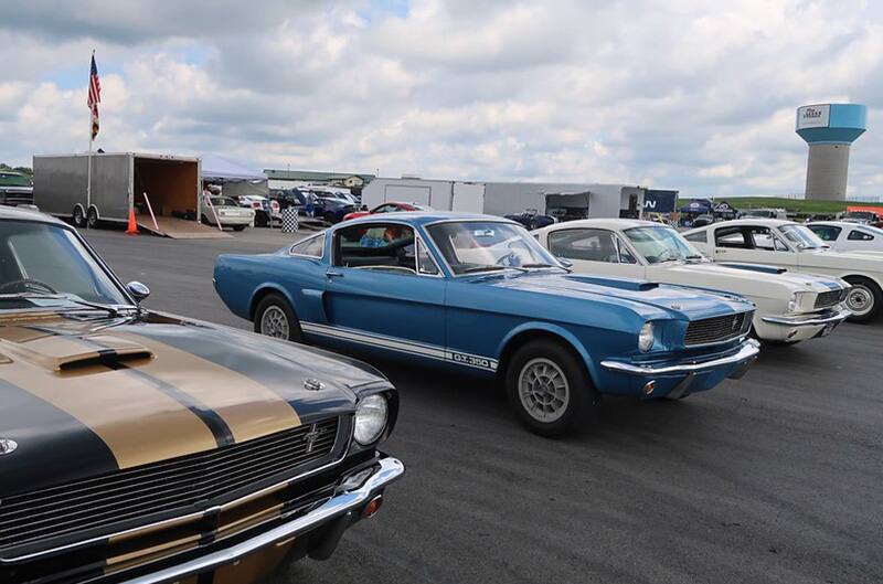 Mustangs parked in lot for show