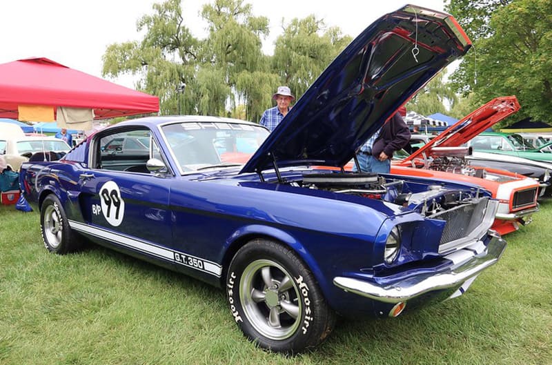 Blue First generation Mustang