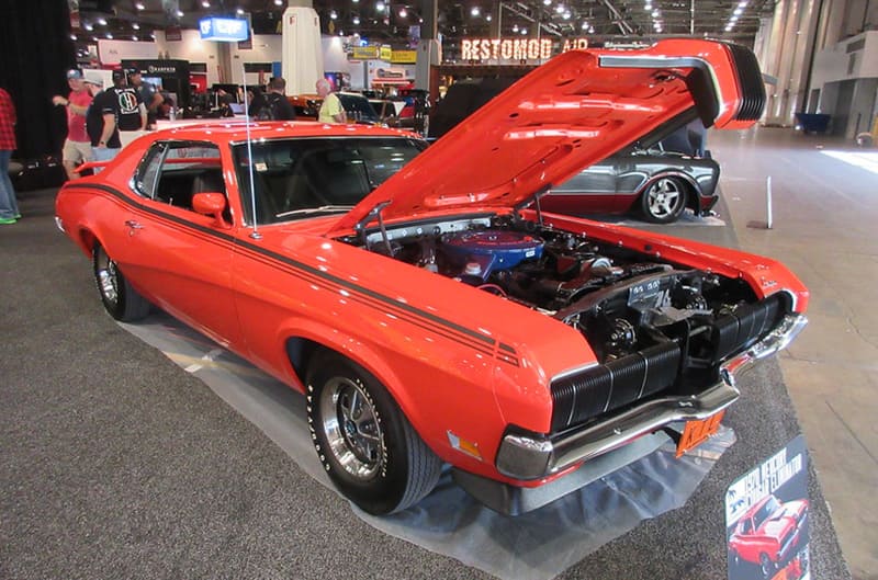 Cougar in orange on display