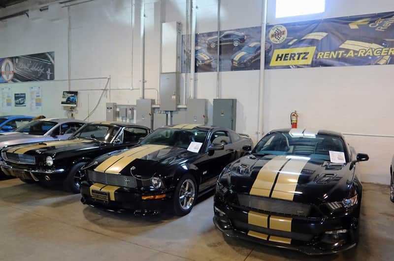 Hertz Shelby Mustangs