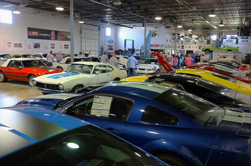 Mustangs inside Berardi collection