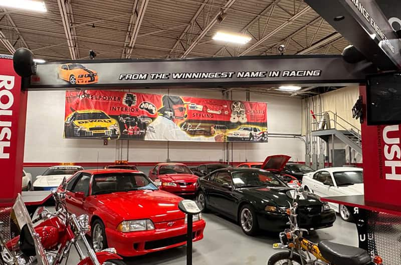 mustangs on display under display