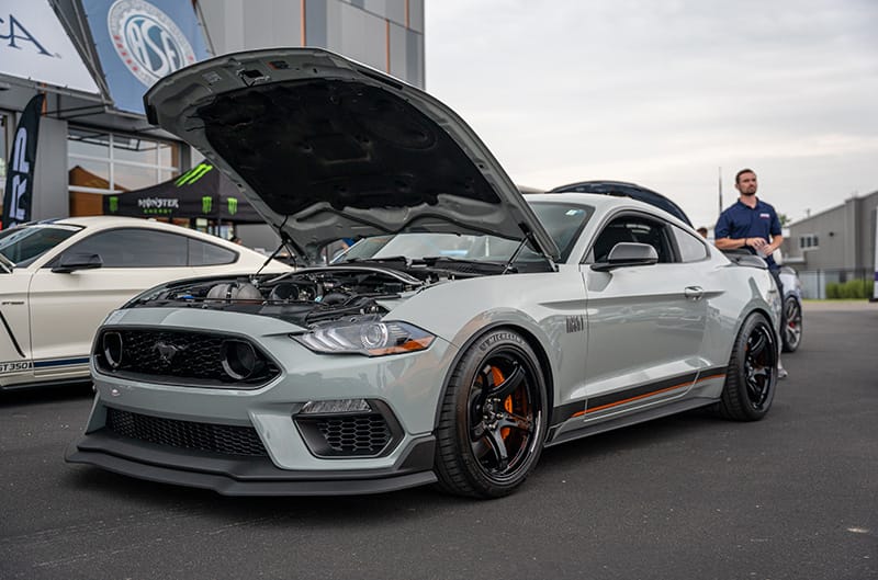 Pit & Paddock Mustang Show