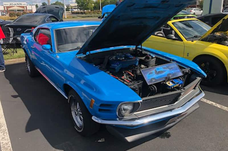 Montrose Ford Car Show