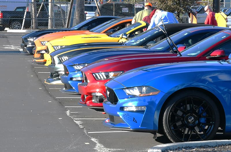 Mustangs in Savannah Show