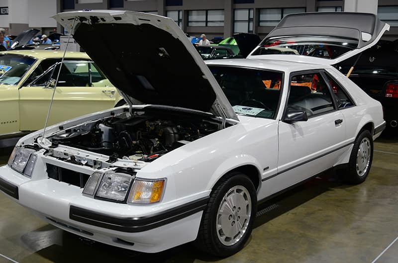 Mustangs in Savannah Show