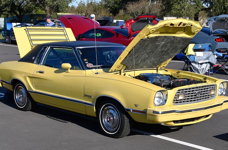 Mustangs in Savannah Show