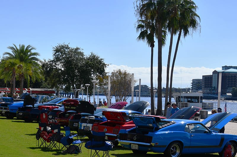 Mustangs in Savannah Show