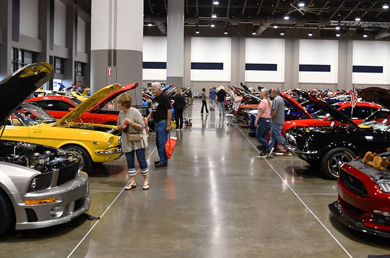 Mustangs in Savannah Show