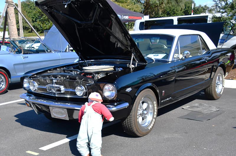 Mustangs in Savannah Show