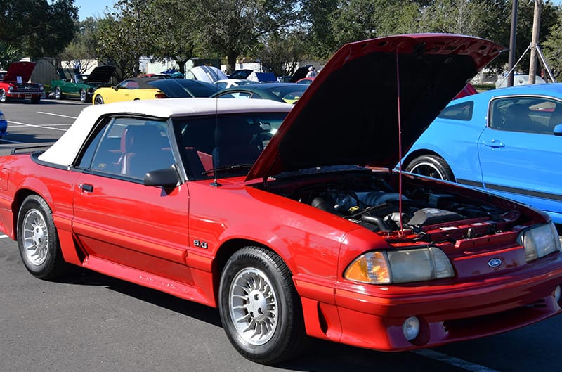 Mustangs in Savannah Show