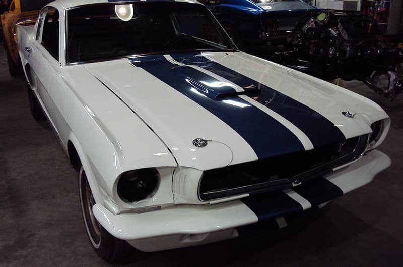 White mustang with blue stripes